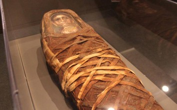 Phát hiện vật lạ trong xác ướp 2.000 năm tuổi ở Ai Cập