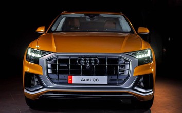 Dòng xe cơ bắp Audi Q8 quattro ra mắt khách hàng Việt
