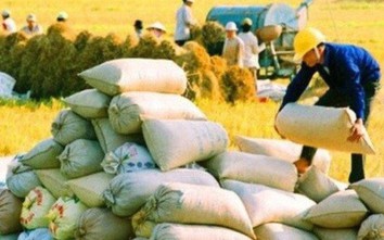 Giá gạo xuất khẩu lập "đỉnh”, lo thiếu nguồn cung trong nước
