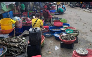 Quảng Ninh: Chợ lớn nhất Vân Đồn hoạt động trở lại từ 0h00 ngày 8/2