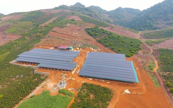 Điện mặt trời vỏ bọc trang trại: Trục lợi chính sách, ai chịu trách nhiệm?