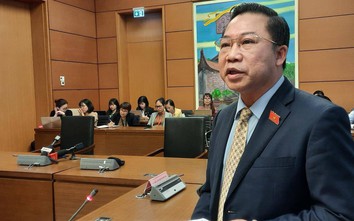 ĐBQH Lưu Bình Nhưỡng: "Quốc hội khoá XV có tiếp tục làm về vụ Hồ Duy Hải?"