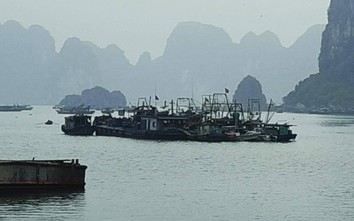 Quảng Ninh: Bất cập nơi neo đậu phương tiện thủy sau lệnh cấm