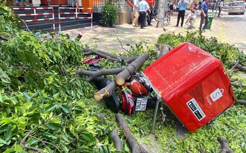 Xe máy chở hàng Shopee bị cành cây lớn đổ đè trên đường TP.HCM