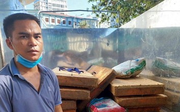 Bắt giữ ô tô tải đông lạnh "trung chuyển" gỗ lậu tại Thừa Thiên Huế