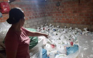 Quảng Trị: Hơn 60 tấn hải sản ướp từ năm 2016 vẫn được bán ra thị trường