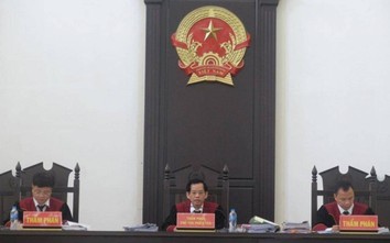 Đại án BIDV: Con gái ông Trần Bắc Hà khóc tại tòa, xin giữ lại loạt tài sản