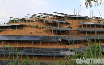 Sơn La: Thanh tra toàn bộ các dự án điện mặt trời trên địa bàn