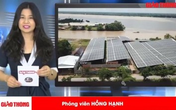 Điện mặt trời núp bóng trang trại: Phải làm rõ trách nhiệm địa phương