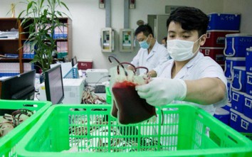 Sáng 30/7, 1 nghìn đơn vị máu "bay" từ Hà Nội vào TP.HCM