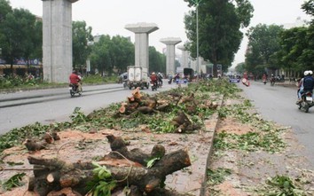 Công ty Công viên cây xanh trúng loạt gói thầu khủng tại Sở Xây dựng Hà Nội