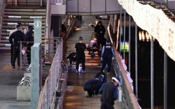 Đã bắt được nghi phạm sát hại nam sinh người Việt tại Osaka