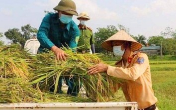 Công an Thanh Hoá xuống đồng gặt lúa cho dân để "chạy" bão số 5