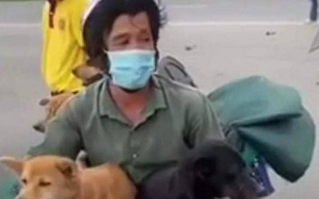 Chủ tịch UBND huyện nói lý do tiêu hủy đàn chó 15 con ở Cà Mau