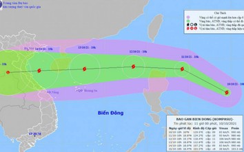 Bão số 8 giật cấp 13, di chuyển nhanh, hoàn lưu rộng