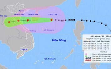 Bão số 8 đang vào Vịnh Bắc Bộ, lúc mạnh nhất giật cấp 14