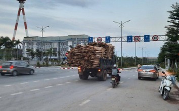 Từ xe gỗ quá khổ trên đường ngàn tỷ, nghi vấn chế biến gỗ lậu ở KCN Cái Lân