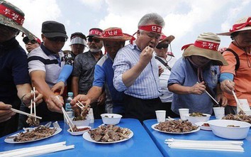 Ứng viên Tổng thống Hàn Quốc gây sốc vì quan điểm ăn thịt chó