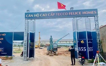 Sở Xây dựng Bình Dương: “Không có dự án Tecco Felice Homes”