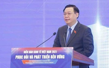 Chủ tịch QH Vương Đình Huệ: Doanh nghiệp cần thể chế nhiều hơn cần tiền
