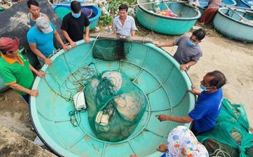 Bão số 9: Miền Trung bắt đầu mưa lớn, sẵn sàng di dân vùng nguy hiểm