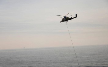 Lý do California định dùng trực thăng rải 1,5 tấn thuốc độc xuống đảo
