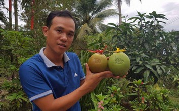 Nhà vườn tạm dừng sản xuất, khan hiếm trái cây tạo hình dịp Tết