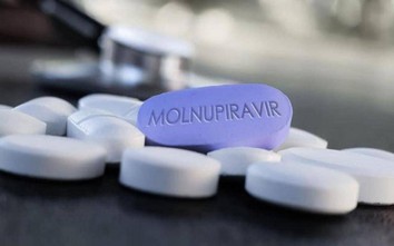 Thuốc điều trị Covid-19 Molnupiravir ảnh hưởng đến tinh trùng ở nam giới?