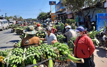 Chợ chuối Tết lớn nhất miền Trung nhộn nhịp ngày cận Tết
