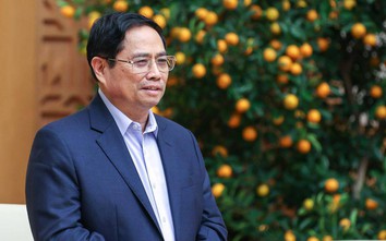 Thủ tướng: Sớm đưa ra xét xử công khai, minh bạch vụ Việt Á