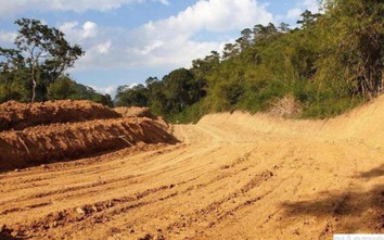 Đắk Lắk: Phá trái phép hơn 15ha rừng đặc dụng để làm đường Trường Sơn Đông