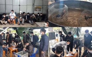 Cảnh sát Huế bao vây bắt tại trận hàng chục con bạc say sưa ở “trường gà"