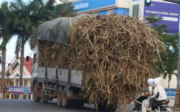 Đắk Lắk: Xe tải chở mía cồng kềnh quá khổ ngang nhiên tung hoành Tỉnh lộ 1