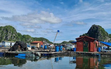 Hải Phòng: 136 hộ đã tháo dỡ lồng bè, bàn giao mặt nước cho chính quyền