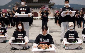 Hàn Quốc loay hoay với câu hỏi: Nên cấm ăn thịt chó hay không?