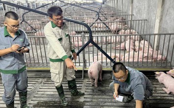 Thanh Hoá kỳ vọng bứt phá trong chăn nuôi nhờ "siêu dự án" công nghệ cao