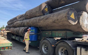 Kỳ lạ xe chở 83m3 gỗ lim qua chục tỉnh thành, đến Quảng Ngãi mới bị dừng