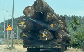 Xe chở gỗ “khủng” qua nhiều tỉnh thành: CSGT TT-Huế báo cáo không phát hiện