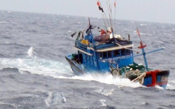 Hai tàu cá Quảng Trị bị chìm trên đường vào bờ tránh bão Chaba
