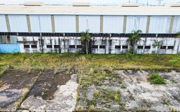 Cảnh hoang tàn của nhà máy Vinaxuki Mê Linh "vang bóng một thời"