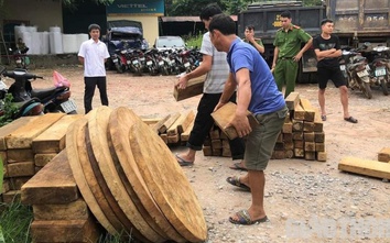 Yên Bái: Bị phạt gần trăm triệu vì tàng trữ gỗ gom của lâm tặc