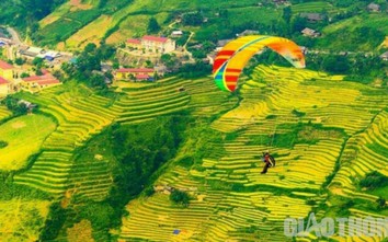 Lên Mù Cang Chải bay dù lượn, trực thăng ngắm ruộng bậc thang mùa lúa chín