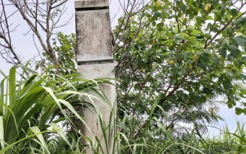 Di tích lịch sử ở Phú Yên bị ruộng mía "bức tử"