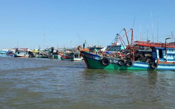Phạt gần 1,4 tỷ đồng, tịch thu tàu cá ở Cà Mau vi phạm 9 lỗi