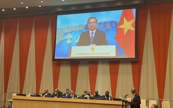 Thủ tướng: Việt Nam luôn thực hiện cam kết quốc tế với quyết tâm cao nhất