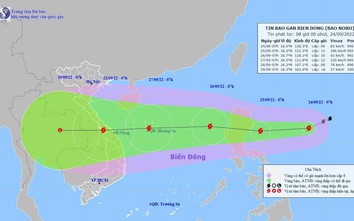 Thừa Thiên Huế: Bắn pháo hiệu gọi tàu thuyền vào tránh bão Noru