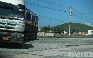 Xe tải cày nát các tuyến đường KKT Hòn La, dăm gỗ rải đầy đường
