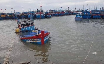 Bão số 6 cận kề, gần 3.500 ngư dân Quảng Ngãi vẫn lênh đênh trên biển