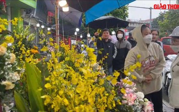 Video: Mặc thời tiết mưa lạnh, người dân vẫn nhộn nhịp mua hoa ngày 20/10