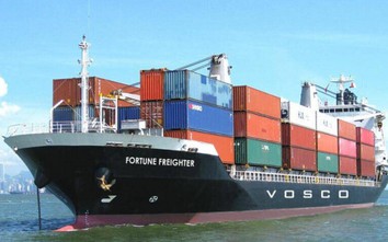 Loạt doanh nghiệp vận tải biển lãi lớn bất chấp cước vận tải giảm
